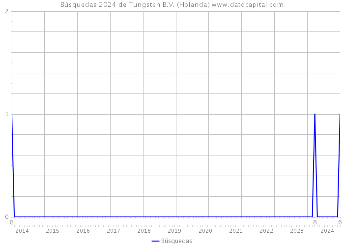 Búsquedas 2024 de Tungsten B.V. (Holanda) 