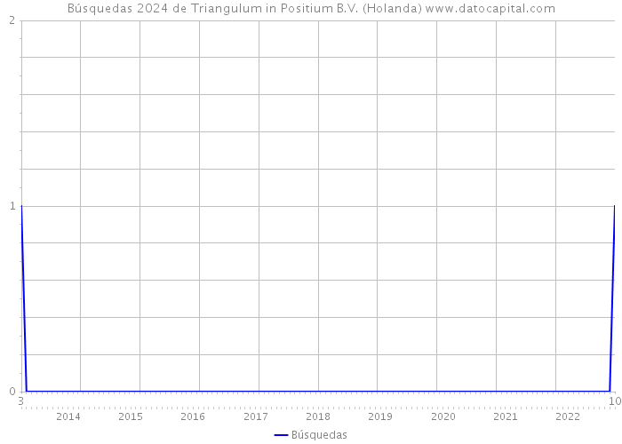 Búsquedas 2024 de Triangulum in Positium B.V. (Holanda) 