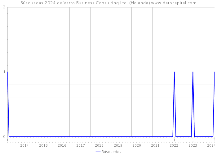 Búsquedas 2024 de Verto Business Consulting Ltd. (Holanda) 
