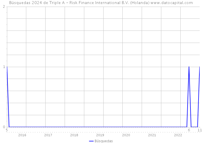 Búsquedas 2024 de Triple A - Risk Finance International B.V. (Holanda) 