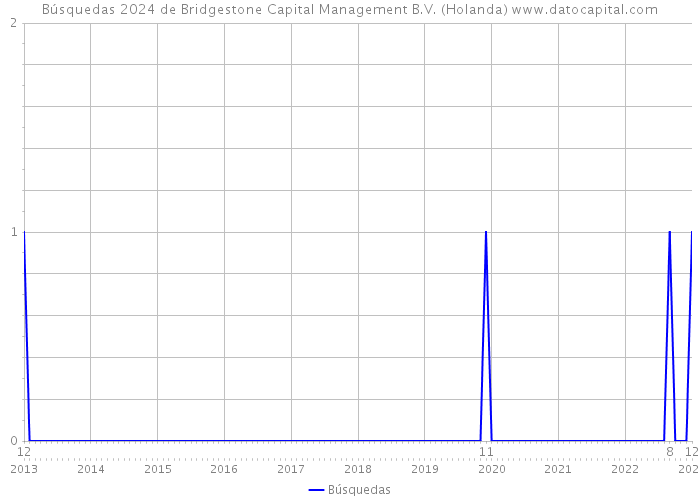 Búsquedas 2024 de Bridgestone Capital Management B.V. (Holanda) 