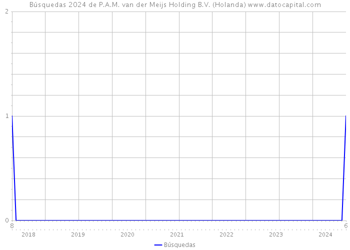 Búsquedas 2024 de P.A.M. van der Meijs Holding B.V. (Holanda) 