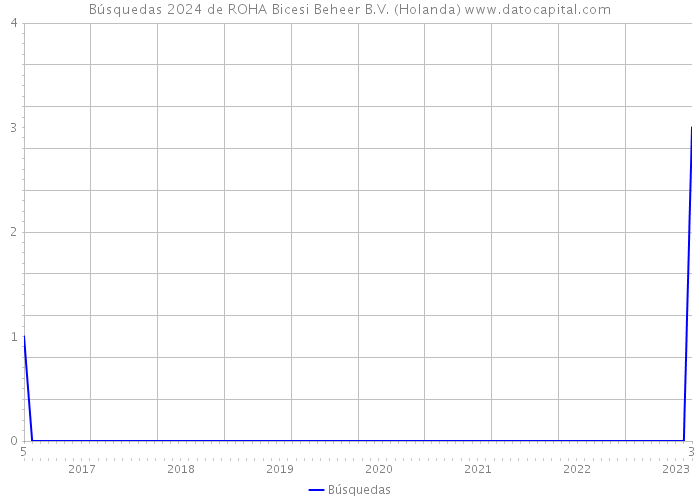 Búsquedas 2024 de ROHA Bicesi Beheer B.V. (Holanda) 