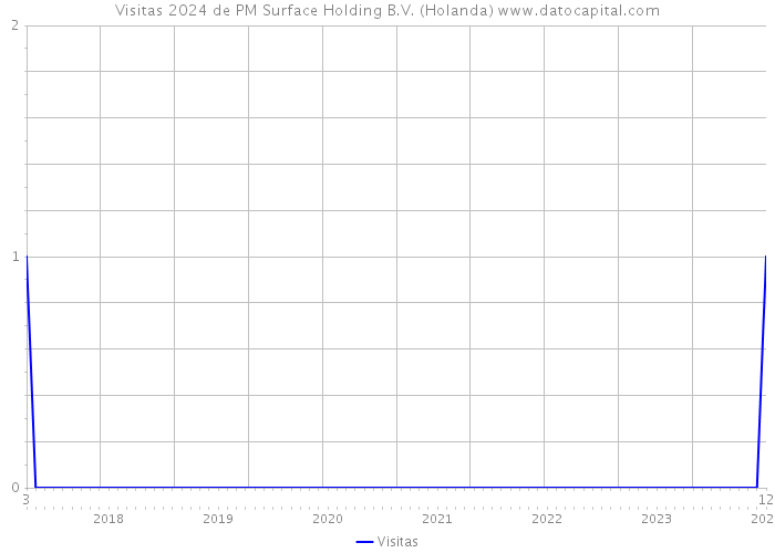 Visitas 2024 de PM Surface Holding B.V. (Holanda) 