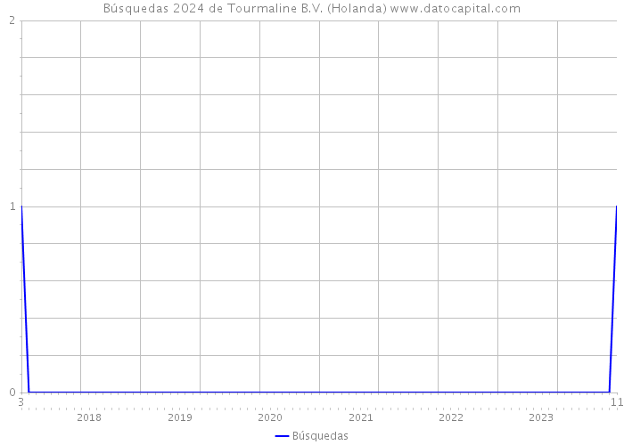 Búsquedas 2024 de Tourmaline B.V. (Holanda) 