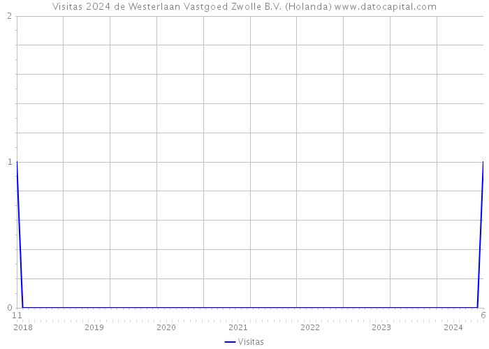 Visitas 2024 de Westerlaan Vastgoed Zwolle B.V. (Holanda) 