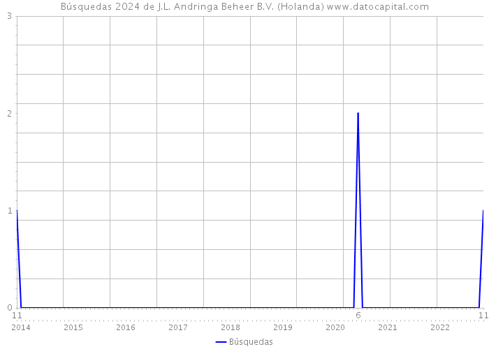 Búsquedas 2024 de J.L. Andringa Beheer B.V. (Holanda) 