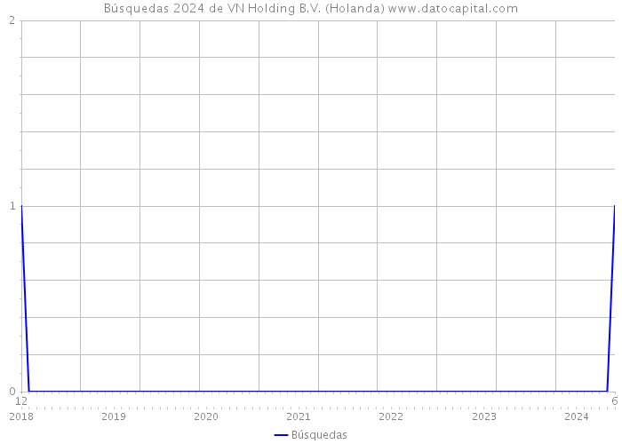 Búsquedas 2024 de VN Holding B.V. (Holanda) 