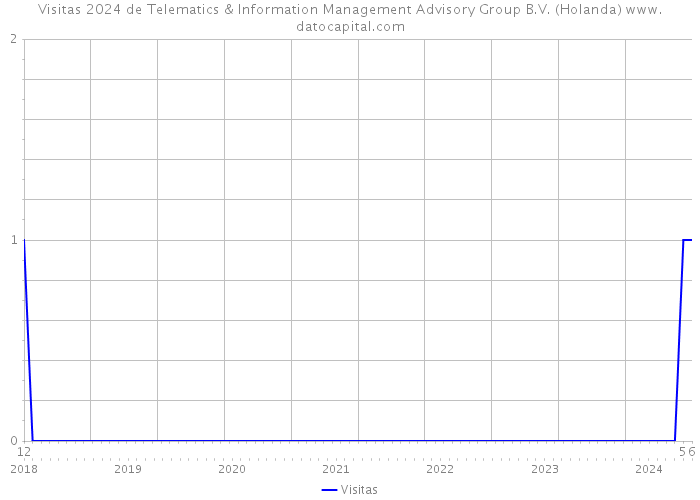 Visitas 2024 de Telematics & Information Management Advisory Group B.V. (Holanda) 
