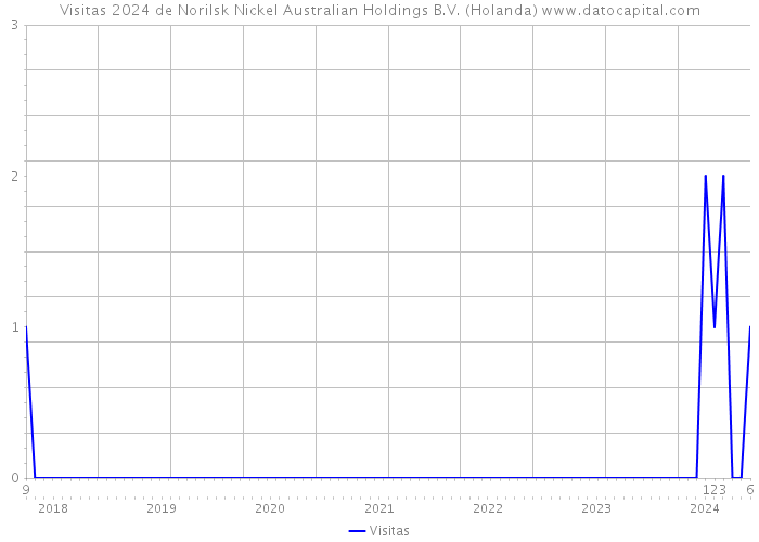Visitas 2024 de Norilsk Nickel Australian Holdings B.V. (Holanda) 