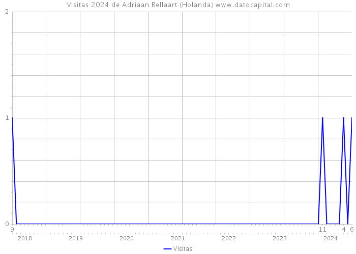 Visitas 2024 de Adriaan Bellaart (Holanda) 