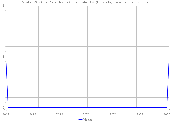 Visitas 2024 de Pure Health Chiropratic B.V. (Holanda) 
