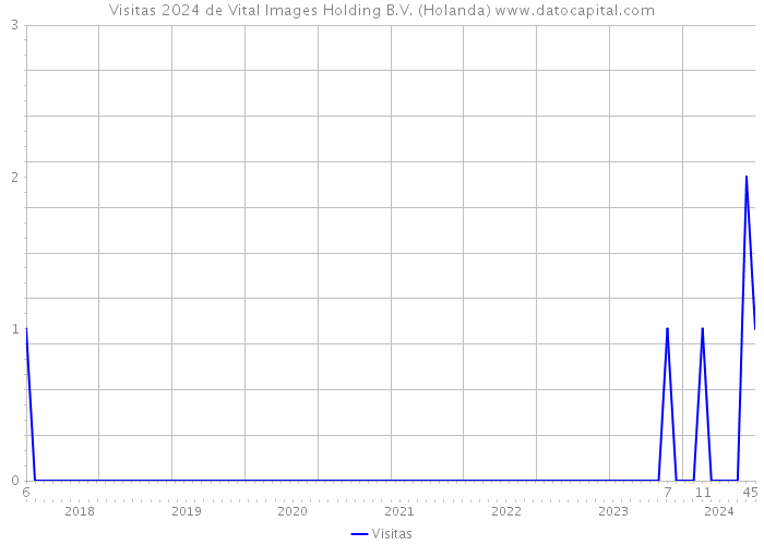 Visitas 2024 de Vital Images Holding B.V. (Holanda) 