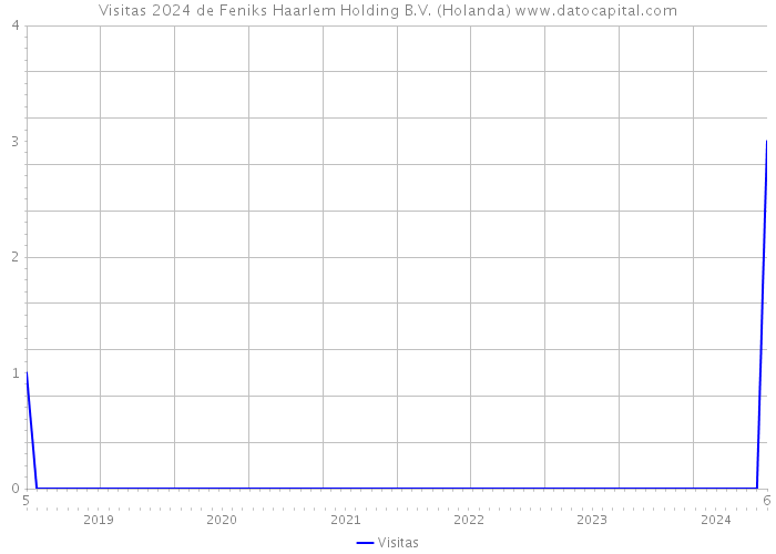 Visitas 2024 de Feniks Haarlem Holding B.V. (Holanda) 