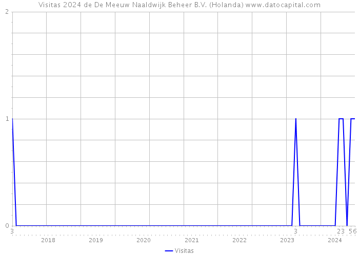 Visitas 2024 de De Meeuw Naaldwijk Beheer B.V. (Holanda) 