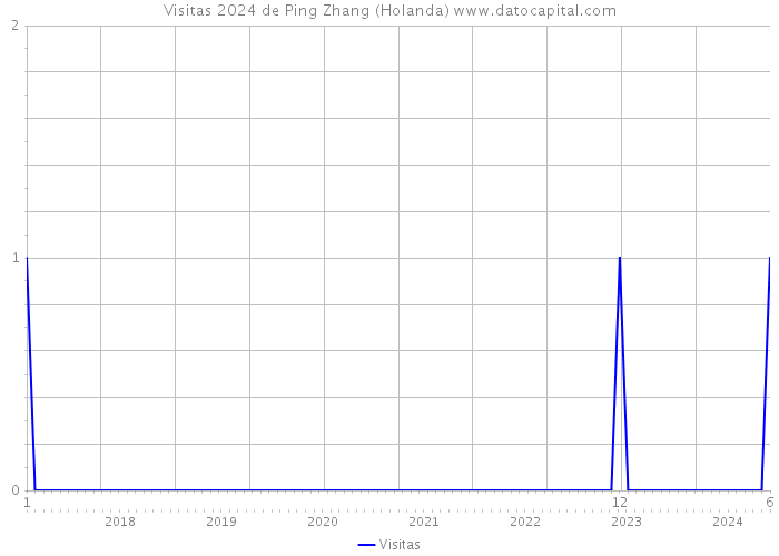 Visitas 2024 de Ping Zhang (Holanda) 