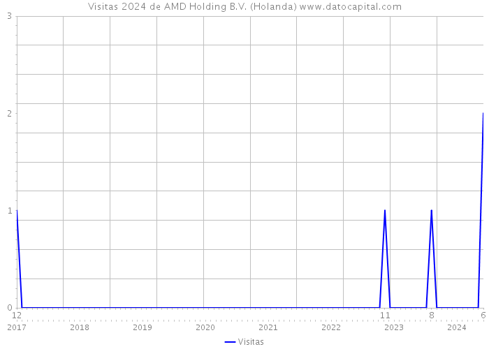 Visitas 2024 de AMD Holding B.V. (Holanda) 