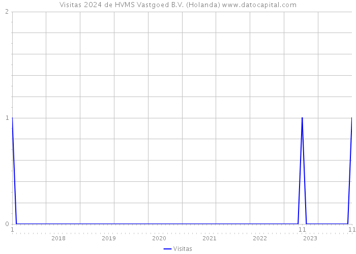 Visitas 2024 de HVMS Vastgoed B.V. (Holanda) 
