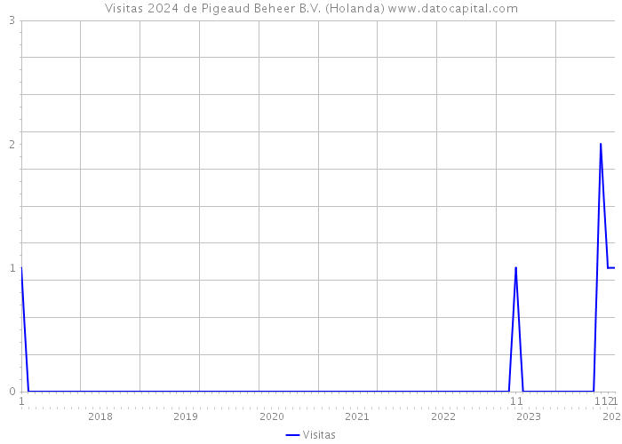 Visitas 2024 de Pigeaud Beheer B.V. (Holanda) 