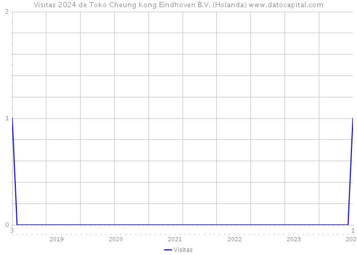 Visitas 2024 de Toko Cheung Kong Eindhoven B.V. (Holanda) 