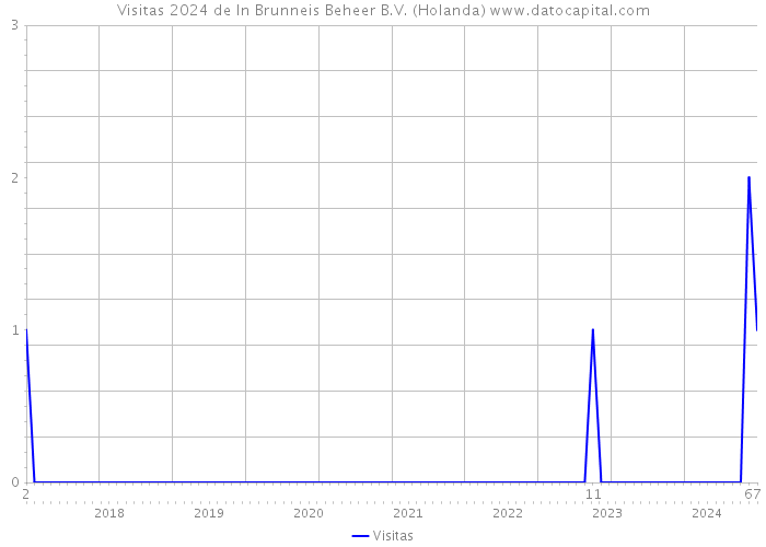 Visitas 2024 de In Brunneis Beheer B.V. (Holanda) 