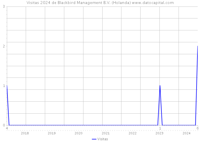 Visitas 2024 de Blackbird Management B.V. (Holanda) 