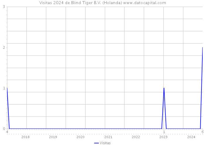 Visitas 2024 de Blind Tiger B.V. (Holanda) 