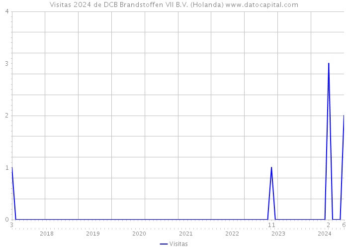 Visitas 2024 de DCB Brandstoffen VII B.V. (Holanda) 