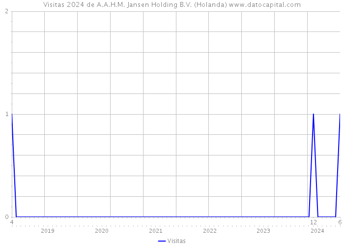 Visitas 2024 de A.A.H.M. Jansen Holding B.V. (Holanda) 