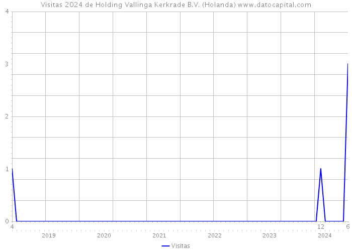 Visitas 2024 de Holding Vallinga Kerkrade B.V. (Holanda) 