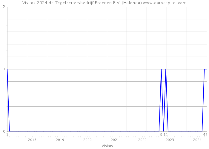 Visitas 2024 de Tegelzettersbedrijf Broenen B.V. (Holanda) 