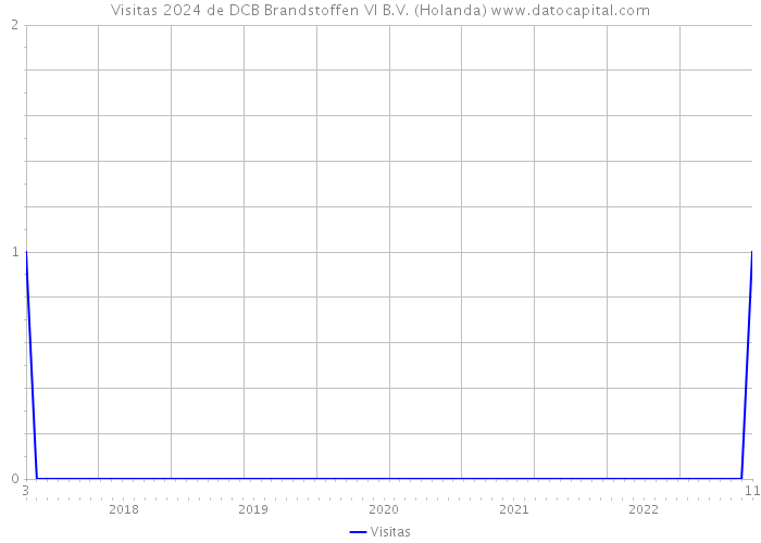 Visitas 2024 de DCB Brandstoffen VI B.V. (Holanda) 