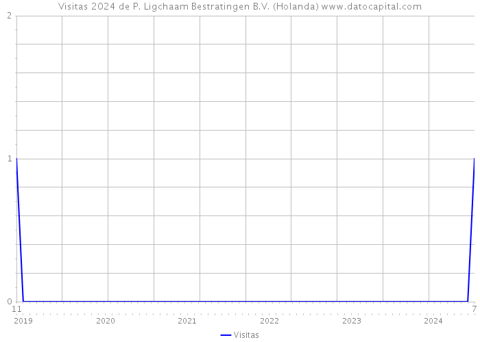 Visitas 2024 de P. Ligchaam Bestratingen B.V. (Holanda) 