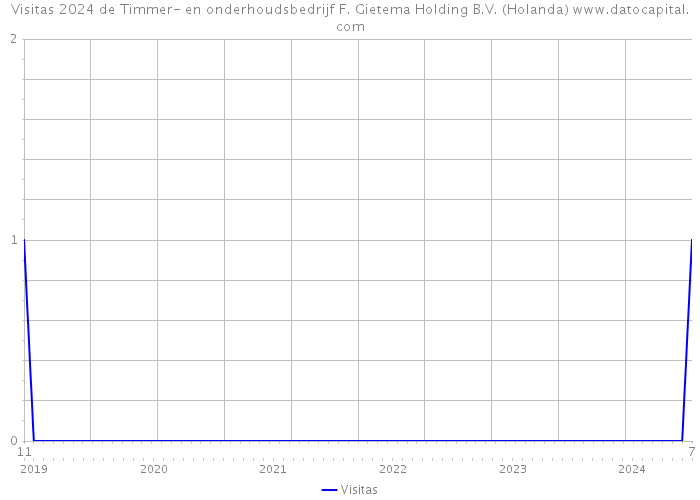 Visitas 2024 de Timmer- en onderhoudsbedrijf F. Gietema Holding B.V. (Holanda) 