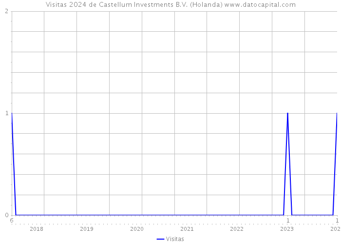 Visitas 2024 de Castellum Investments B.V. (Holanda) 