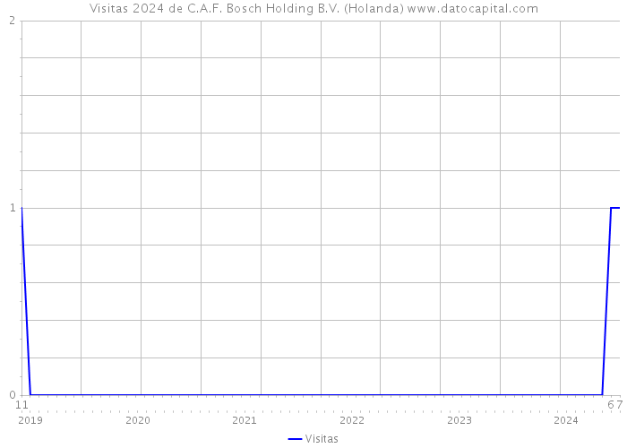 Visitas 2024 de C.A.F. Bosch Holding B.V. (Holanda) 