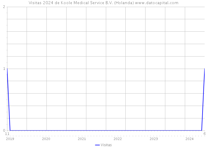 Visitas 2024 de Koole Medical Service B.V. (Holanda) 