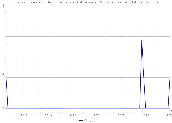 Visitas 2024 de Holding Bronneberg Autoschade B.V. (Holanda) 