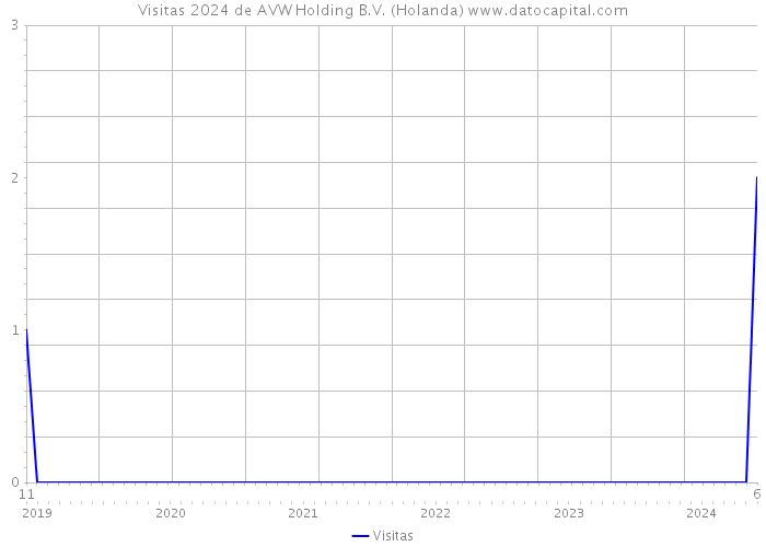 Visitas 2024 de AVW Holding B.V. (Holanda) 