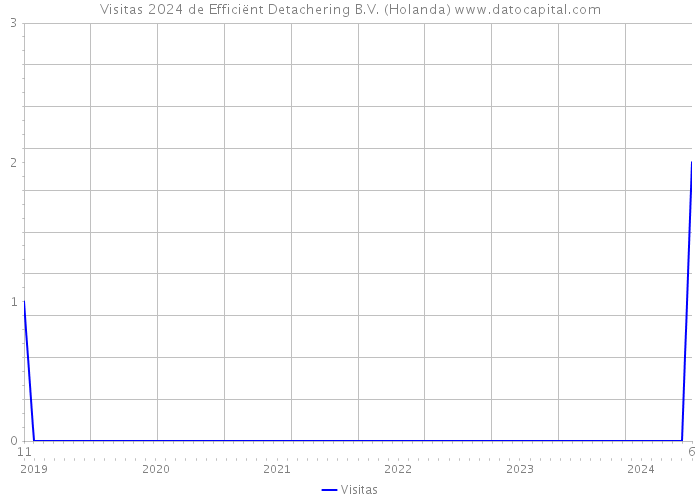 Visitas 2024 de Efficiënt Detachering B.V. (Holanda) 