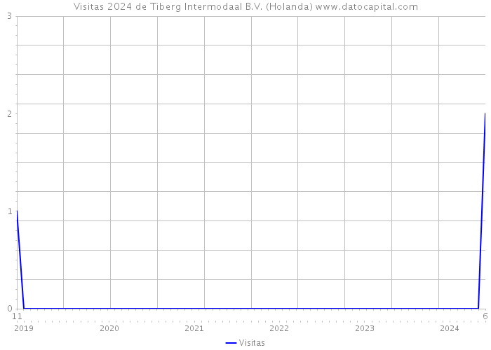 Visitas 2024 de Tiberg Intermodaal B.V. (Holanda) 