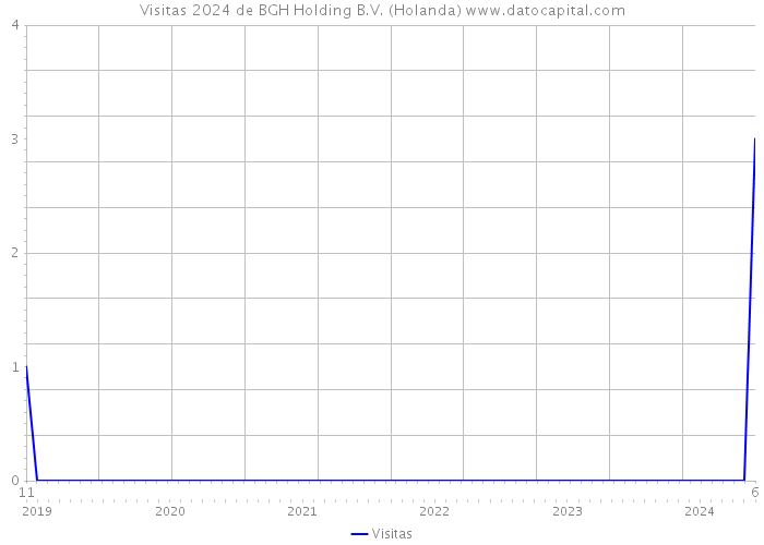 Visitas 2024 de BGH Holding B.V. (Holanda) 