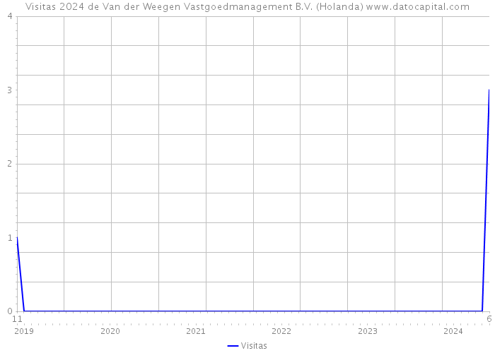 Visitas 2024 de Van der Weegen Vastgoedmanagement B.V. (Holanda) 