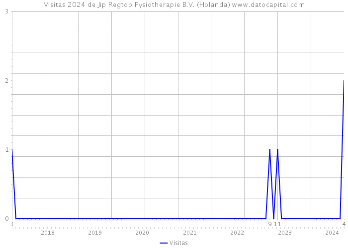 Visitas 2024 de Jip Regtop Fysiotherapie B.V. (Holanda) 