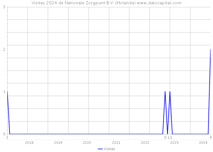 Visitas 2024 de Nationale Zorgpunt B.V. (Holanda) 