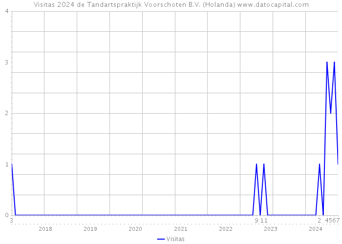 Visitas 2024 de Tandartspraktijk Voorschoten B.V. (Holanda) 