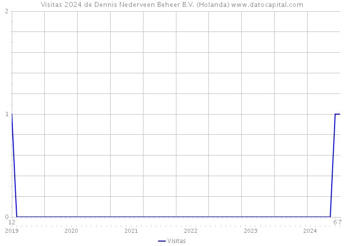 Visitas 2024 de Dennis Nederveen Beheer B.V. (Holanda) 