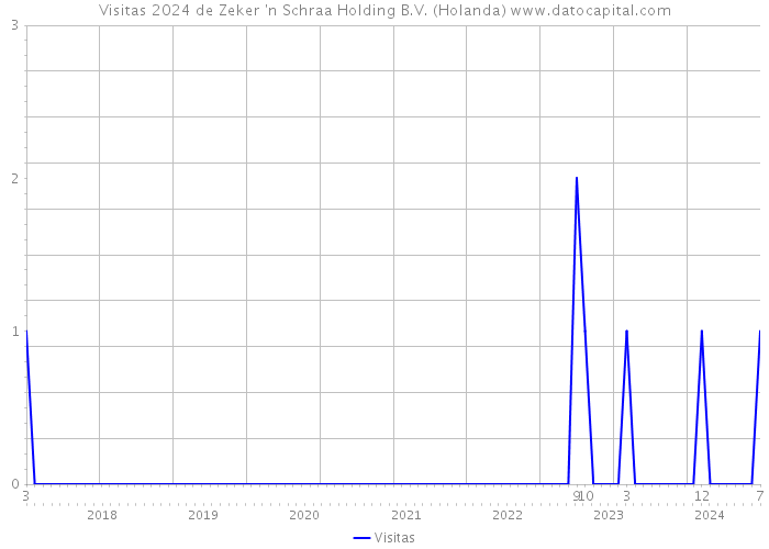 Visitas 2024 de Zeker 'n Schraa Holding B.V. (Holanda) 