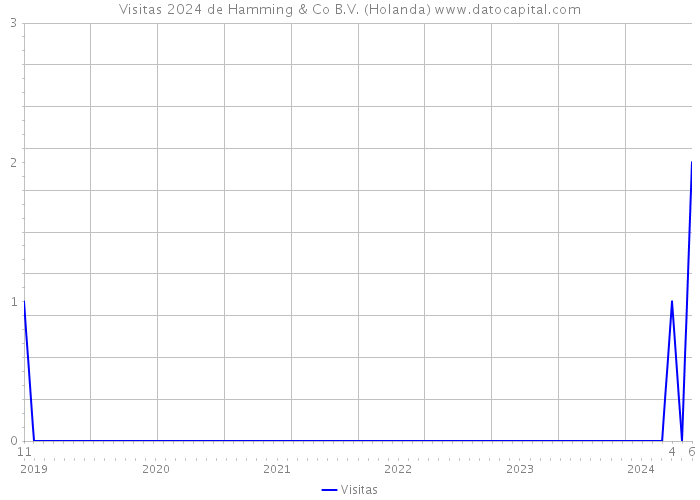 Visitas 2024 de Hamming & Co B.V. (Holanda) 