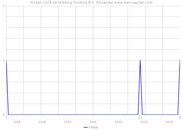 Visitas 2024 de Hidding Holding B.V. (Holanda) 
